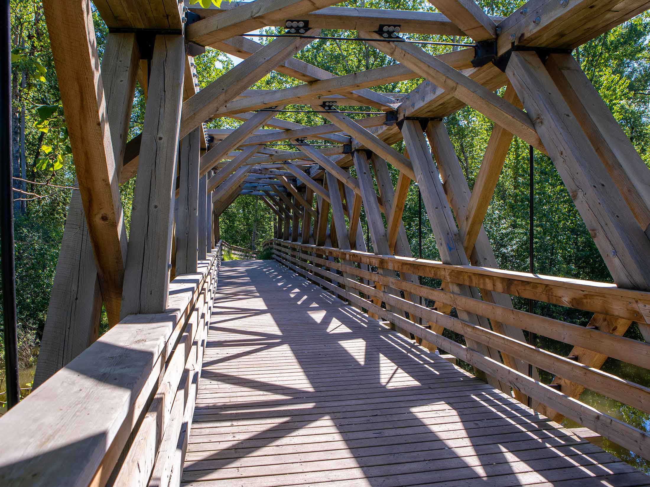 Cottonwood Island Pedestrian Bridge